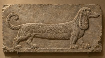 Stone relief carving of a dachshund in Assyrian palace style, with a curled tail and a long floppy ear carved as rows of rosettes